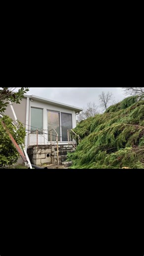 NEW from the National Weather Service: “ We can confirm two short-lived tornado tracks. The first, just north of Lakeshore Parkway, from generally Wildwood to Samford, with a rating of EF1/100mph. A second, from generally Brookwood Mall into Mountain Brook and Cahaba Heights - EF1/90mph.” This video is from the Brookwood Mall area in Homewood. | Morgan Hightower WBRC