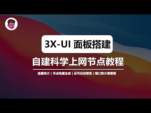 【2025最新】3X-ui 面板搭建教程！VPS自建独享IP节点｜vless+reality+vision加密协议｜搭建Xray面板｜自建科学上网VPS节点｜彻底告别机场｜翻墙梯子推荐｜无惧晚高峰