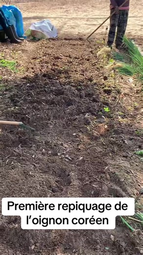 #CropScience #AgriTech #SustainableFarming @matar_agri_pro @AfroAgro @BAB-ferme☘️