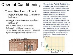 Introduction to Psychology: Chapter 5 (Part 2 of 2)