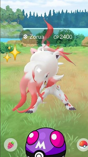 When I Got✨️New Hisuian Zorua & Zoroark in Pokémon GO