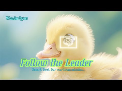 Why Ducklings Follow the “Wrong” Mom | Konrad Lorenz & the Science of Imprinting