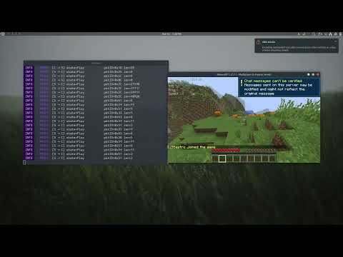 goPAX: High-Performance Minecraft Proxy in Go