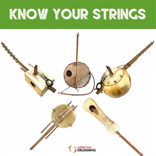 WEST AFRICAN STRINGS 🌍 🎶 SEPEREWA is a 12 stringed box resonator instrument with soulful sounds emanating from the ancient Ashanti Empire. 🎶 SOKU is a rare and ancient traditional West African fiddle. It features in Wassoulou music of southwest Mali. 🎶 N'GONI is the 12 stringed instrument of the traditional hunter societies of Mali and Guinea. 🎶 KORA is the most sophisticated harp in the family of West African bridge harps and harp-lutes. 🎶 JELO N'GONI is a traditional Mande lute played by