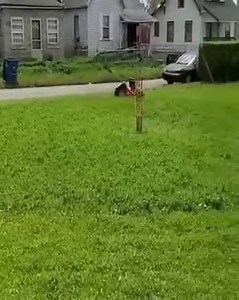 30M views · 693K reactions | Hey kids. Keep studying science, it can be useful. | Ben Pennings | Facebook