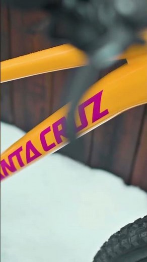 Santa Cruz Chameleon x Gloss Tailored Protection Kit