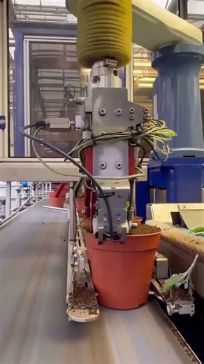 Interesting Applications of Flexible Vibratory Feeder Sorting Machines