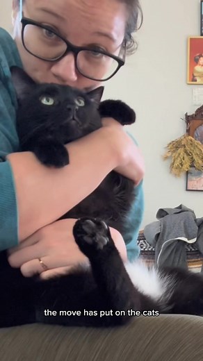 one month with the @hholove_global Automatic Cat Litter Box Pro: ✨REVIEW✨ . Things we LOVE about it: ✅ automatic scooping! ✅ safety: rotating stops when cats approach ✅ scientifically monitored usage via app ✅ UV sterilization & deodorization ✅ new, chic dark grey design . One month with the Automatic Cat Litter Box Pro, during our big move as well, and we are so thankful this litter box exists! Time saving, less tracking, less daily chores, health monitoring for both cats via the integrated app