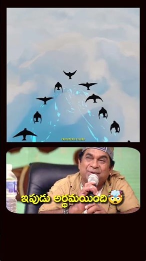 🤯 Why Birds Fly in V Formation | Birds Flying