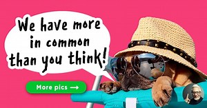 These photos prove dogs are more human than we think