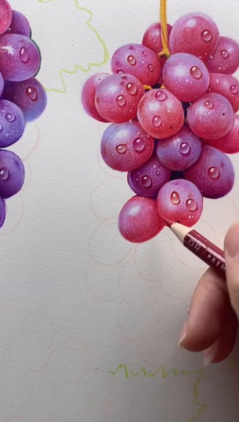 Colorful Grape Drawing Tutorial for Beginners