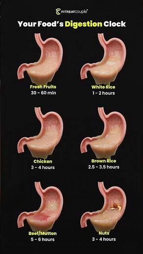 Food Digestion Clock: How Long Does Your Food Take to Digest?