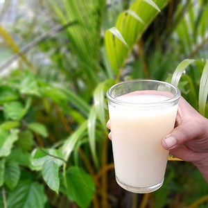 180K views · 3.1K reactions | Best natural liquid fertilizer for plants | Rana Craft | Facebook