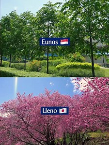 18K views · 480 reactions | Say hello to Spring anytime, anywhere!...