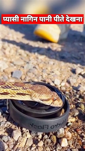 Gurveer Creater B on Reels