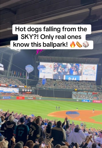 The Excitement of Baseball: Hot Dogs and Game Day Fun!