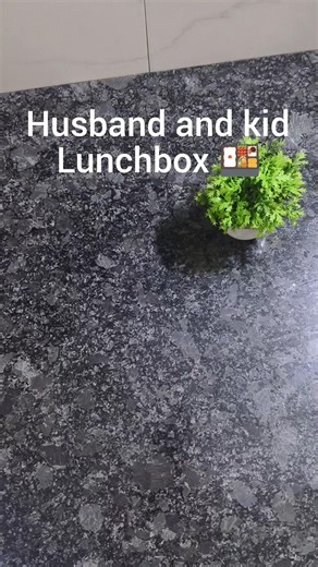 Husband & Kid Lunchbox 🍱 | Healthy Indian Lunchbox Ideas for Office & School