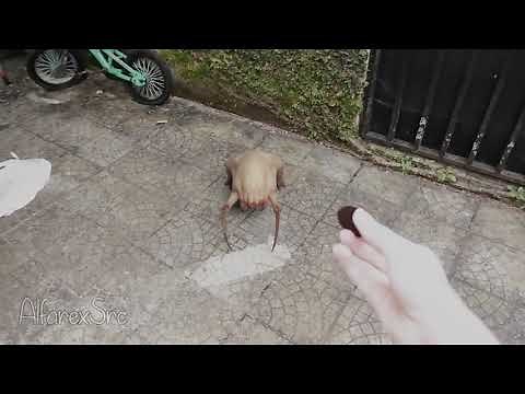 Half Life Headcrab in real life
