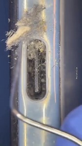 36K views · 524 reactions | #satisfying USB-C charging port #cleaning | Phone Fix Craft | Facebook