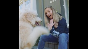 50K views · 4.8K reactions | High-five! You can now skip the hassle and sell your home directly to Zillow. Not all homes are eligible. Zillow, Inc. has a real estate brokerage license in select states. See Zillow.com/Offers for details. | Zillow | Facebook