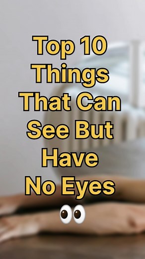 Top 10 Things That Can See Without Eyes 👀😱