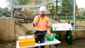 32K views · 613 reactions | VIDEO: Launceston City Park head gardener Wally shows us what it takes to be the ultimate MonkeyChef with this “delicious” primate cake  | City of Launceston Official | Facebook