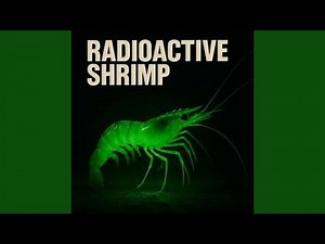radioactive shrimp from walmart song