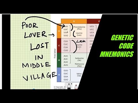 HOW TO Remember Genetic Code Table within 9 min. ? Tricks and Mnemonics.