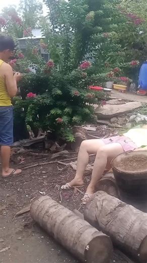 Emotional and Action Status Videos Collection