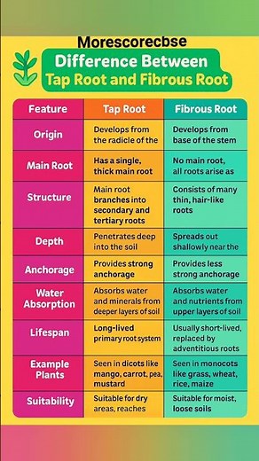 Difference between taproot and fibrous root #cbse #biology #roots #educationalvideo #class10th