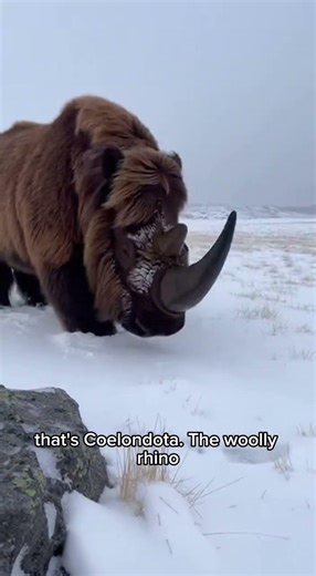 The Furry Tank That Survived the Ice Age