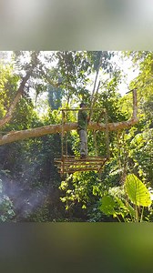 1.2M views · 7K reactions | #foresthouse #houseintheforest...