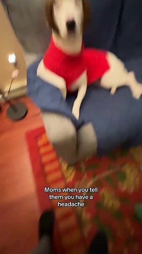 316K views · 14K reactions | Best mom ever!! #momstruggles #momlife #mompreneur #mommysgirl #mommylife #momsover30 #mommysbaby #motherhood #momblogger #momssupportingmoms #momsonabudget #momsoffb | MisterMainer | Facebook