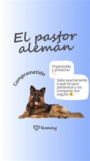 ¿Qué tipo de Teamer eres? - Teaming