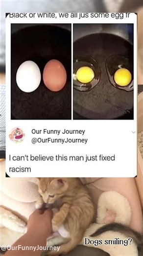 This is Our Funny Journey！#funny #funnyvideos #memes