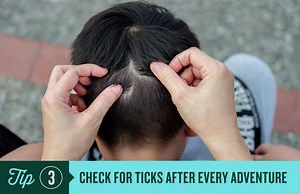 142 reactions · 45 shares | Stay healthy. Do a tick check! Ask someone to go over areas you can’t see yourself and use tweezers to remove any ticks. | Wisconsin Department of Health Services | Facebook
