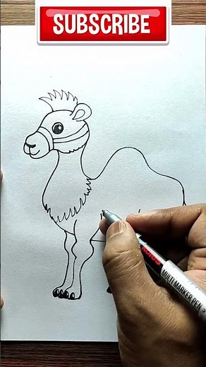 Camel Drawing