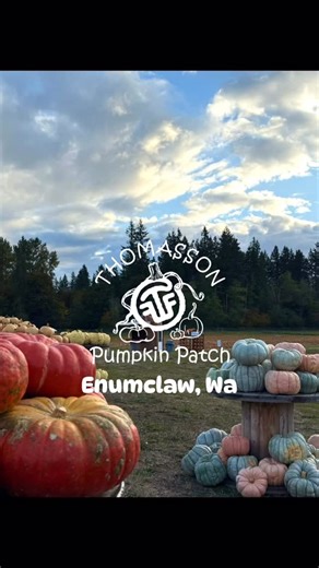 🍁 Fall Family Fun! 🍁 🎃We’re open daily, rain or shine until Oct 30th 9:30-5:30 Admission includes: Entrance onto our farm 🎟️ Wagon rides 🧑‍🌾 Corn maze 🌾 Mega slide*🎢 (sat & sun) Visiting farm animals 🐮 Tractor train rides 🚜 Corn box 🌽 gravel pit tetherball 🏐 Feedbox basket ball🏀 Life size foosball⚽️ Chalkboard house🖌️ Jr. Zip line* ⚡️(sat &sun) Farm inspired playground activities 🐷 Sand pit & Slides🛝 Trike track (Kids & Adults)🏍️ Bubble table🫧 Rubber duck races🐥 Corn hole 🕳️ 