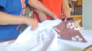 16K views · 370 reactions | Has a cat or kitten you know been...