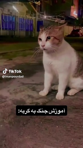 آموزش دعوا با گربه‌ها و نودل در ماین کرافت