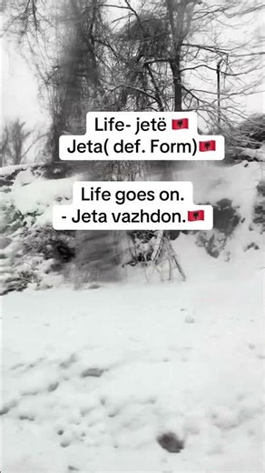 Learn easy words and phrases in Albanian language.🇦🇱