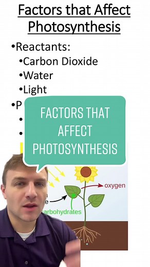 Factors Affecting Photosynthesis Rates
