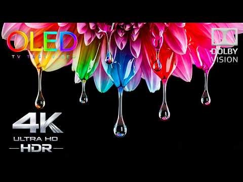 JAW-DROPPING OLED Display Test 🔥 | 1 Billion Colors in 4K HDR 120FPS (4K Video TV)