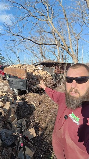 Dumping a Full Trailer of Boiler Wood #wood #smallbusiness #firewood
