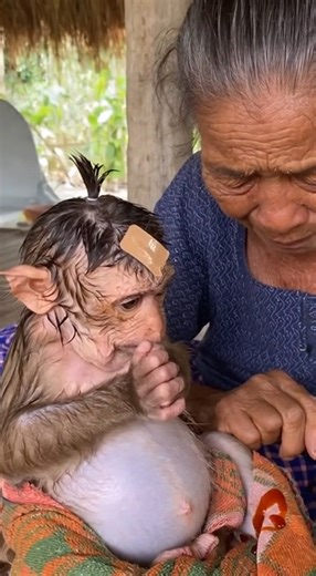 Headache with your big swollen belly | Game 4