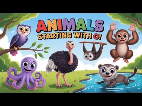 Amazing Animals That Start With O You Need To See!