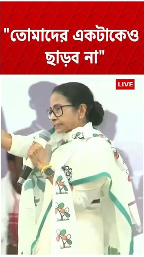 "তোমাদের একটাকেও ছাড়ব না" | Mamata Banerjee | #shorts #abpananda