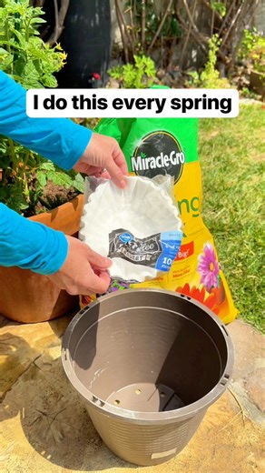 I place a coffee filter at the bottom of my plant pots to help keep soil from spilling out while still allowing water to drain #gardening #gardeningtips #coffee #plants | Liz & Jeff