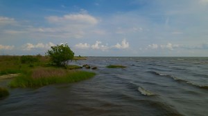 The Louisiana Coastal Protection and Restoration Authority has contributed $1 million to the St. Tammany Living Shorelines project in Lacombe. “St. Tammany is a coastal parish and we will make decisions with that in mind,” said President Mike Cooper. Living Shorelines will protect the Goose Point area by constructing a “living barrier” that will also improve habitats for fish and wildlife along the shores of Lake Pontchartrain. Construction is scheduled to begin later this year. Living Shoreline