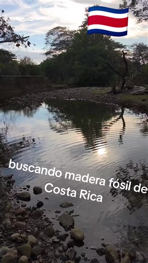 Buscando Madera Fósil en Costa Rica: Aventura y Hallazgos